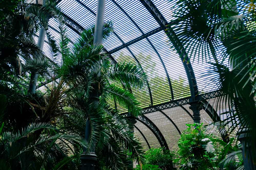 Le jardin Botanique de Lyon