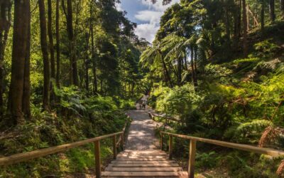 Les parcs et espaces naturels incontournables autour de Lyon